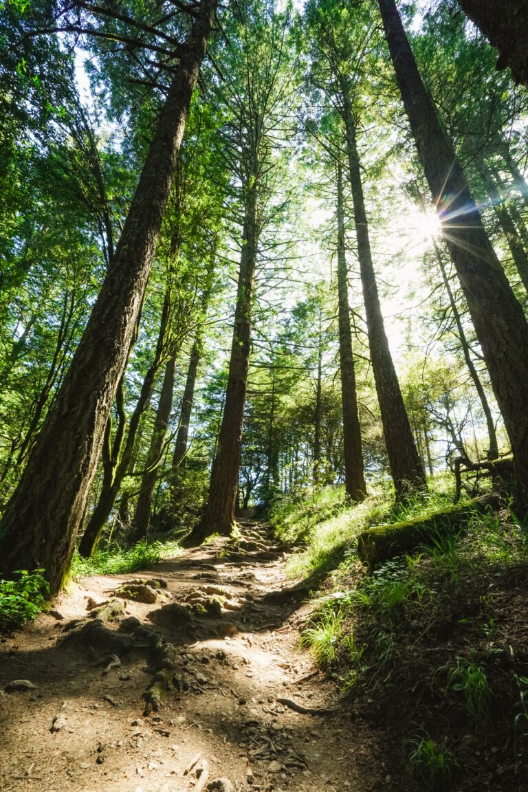 Naturpark Nördlicher Oberpfälzer Wald